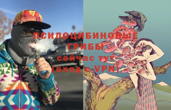 гашиш Новодвинск