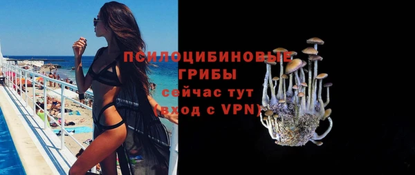 гашиш Новодвинск