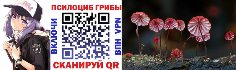 Псилоцибиновые грибы MAGIC MUSHROOMS Купить где Касимов